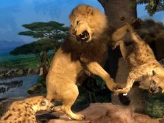 -国家自然博物馆