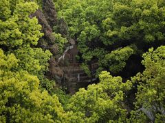 -南山植物园