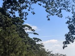 -泰山风景名胜区