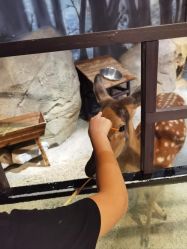 -酷嗒动物文化乐园(cutezoo西溪乐天城店)