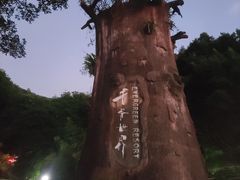 -青青世界