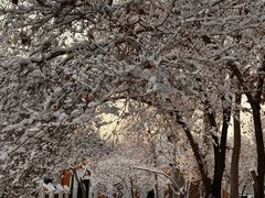 -艾提尕尔清真寺