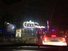 -枫花园汽车电影院(朝阳公园店)