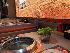 -烧本烧·自助烤肉(勒泰中心店)