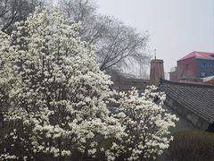 -张学良旧居陈列馆