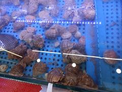 -晶渔坊·海鲜私房菜(东夷小镇店)