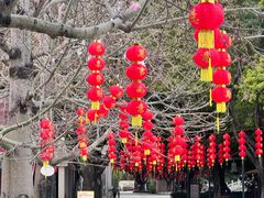 -广东圆玄道观