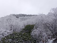-太子岭滑雪场