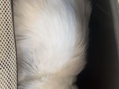 -全心全意动物诊疗中心医院(北苑店)