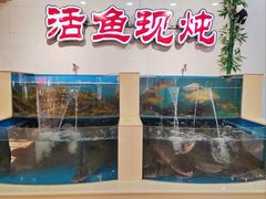 -屯老二农家铁锅炖·行业领军者(刘园店)