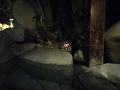 -水底山庄园温泉
