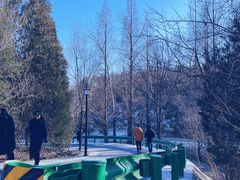 -白水寺森林公园