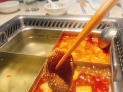 -海底捞火锅(枫蓝国际购物中心店)