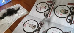 -龙文宝贝上门婴儿理发满月剃胎毛(总店)