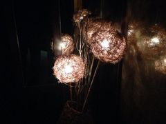 -丽晶大班SPA(大沽店)