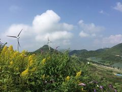 -齐岳山