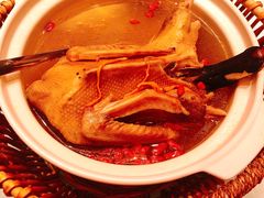 虫草扁尖老鸭汤-御龙宴