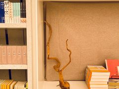 -二酉书店TOYOU BOOKS