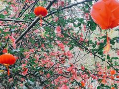 -凤来栖·净庭院·火锅(欧尚店)