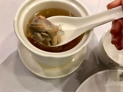 鸡汤花雕松茸-苏浙汇(北京英蓝店)