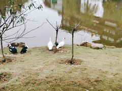 -木兰水镇旅游景区