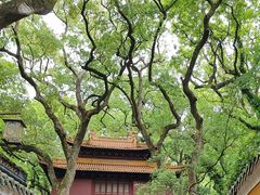 -普陀山风景名胜区-法雨禅寺