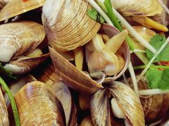 一桶黄蚬子-渔娘渔家丹东海鲜(东直门店)