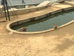 -无锡动物园·太湖欢乐园