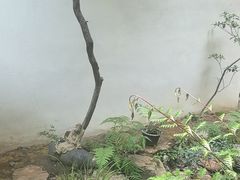 -花迹(富春江东街店)