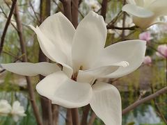 -大兴滨河森林公园