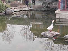 -祝家花園(伯渎港店)