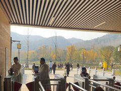 -千年银杏谷文化旅游区