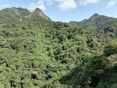 -南丹山森林王国