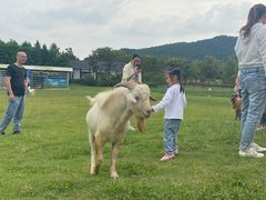 -上方山森林动物世界