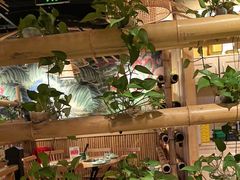 -椰夫人·养生椰子鸡(金沙洲永旺店)