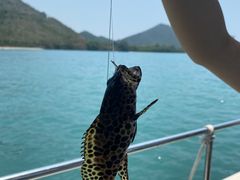 -小猫钓鱼海钓俱乐部(椰梦长廊店)