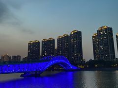 -五缘湾湿地公园