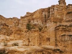 -元谋土林景区(物茂土林)