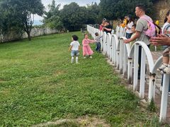 -贵州森林野生动物园