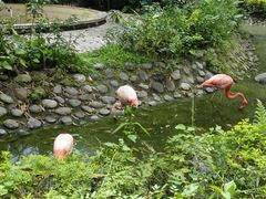 -广东茂名森林公园