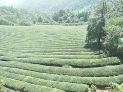 -敬亭山风景名胜区