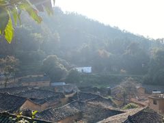 -杨家堂村