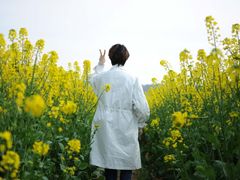 -桑洲油菜花景区
