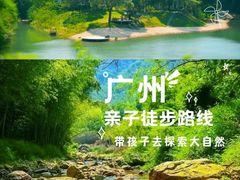 -火炉山森林公园