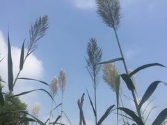-绍兴鉴湖君澜大酒店