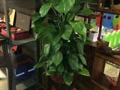 -苏州独墅湖书香世家酒店