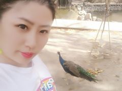 -新疆天山野生动物园