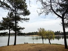 -美兰湖景区