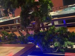 -红蜡烛-养生粥-津鲁菜(中山路店)