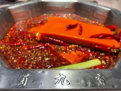 -蜀九香火锅(九眼桥店)